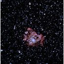 NGC 2174 Monkey Head Nebula