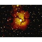 M20 - Triffid Nebula