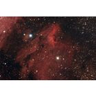 IC5070 and IC5067 Pelican Nebula