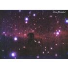 Horsehead Nebula 10-27-13