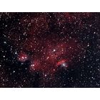 NGC 6559 Nebula at US Store
