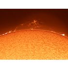 Solar Prominences 13 and 14