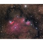 NGC 6559 and Surrounding Nebula in Sagittarius