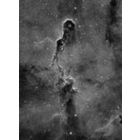 IC1396 - The Elephant Trunk Nebula