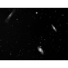 M65, M66, NGC3628 - Leo Trio