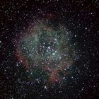 Caldwell 49, The Rosette Nebula