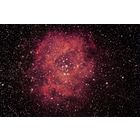 NGC2244 the Rosette Nebula