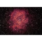 NGC2244 the Rosette Nebula