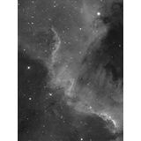 NGC 7000 - Segment of the North America Nebula