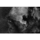 NGC 7000 - North America Nebula