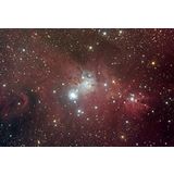 NGC 2264 - Nebula Complex in Monoceros