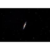 M82 (2nd of Bode's Galaxies)