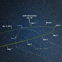 What is Comet Ison's Fate?