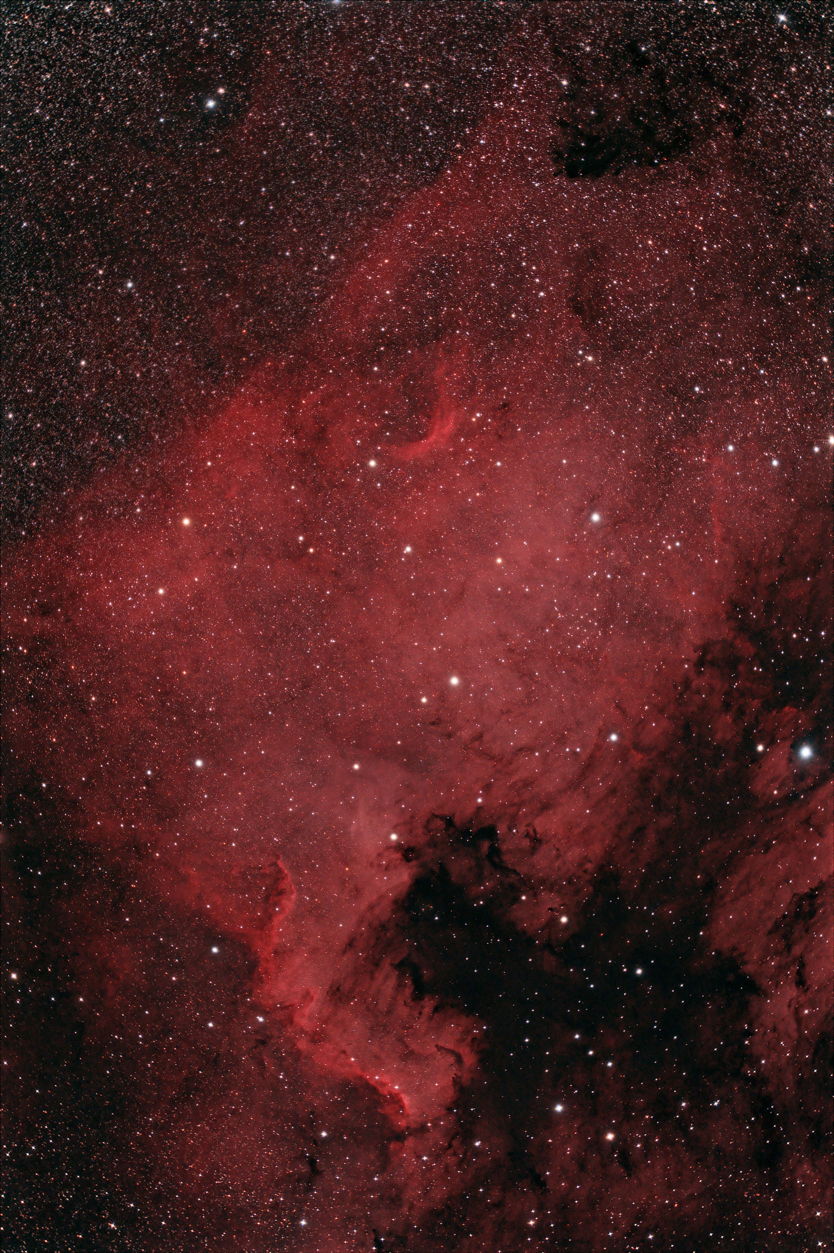 NGC 7000 - North America Nebula at US Store