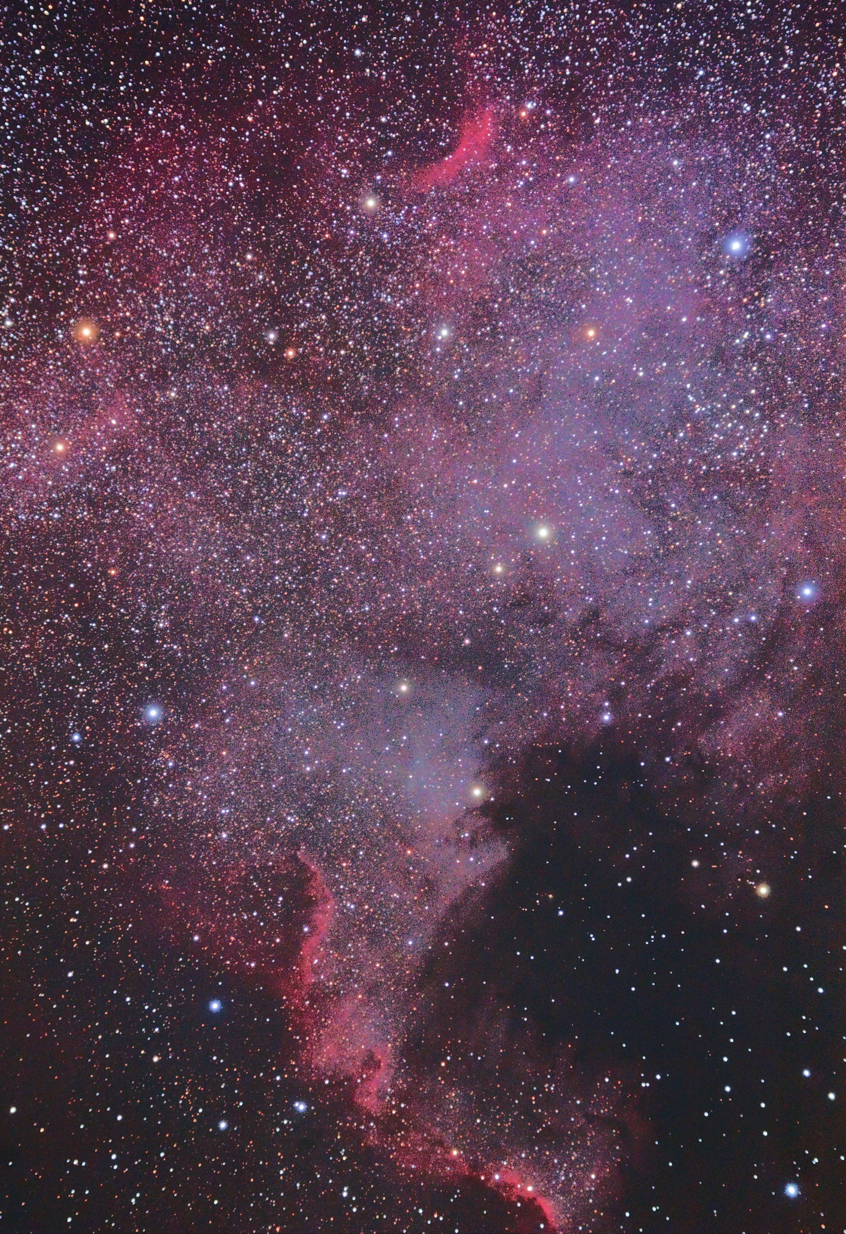 NGC 7000 - North America Nebula at Orion Store