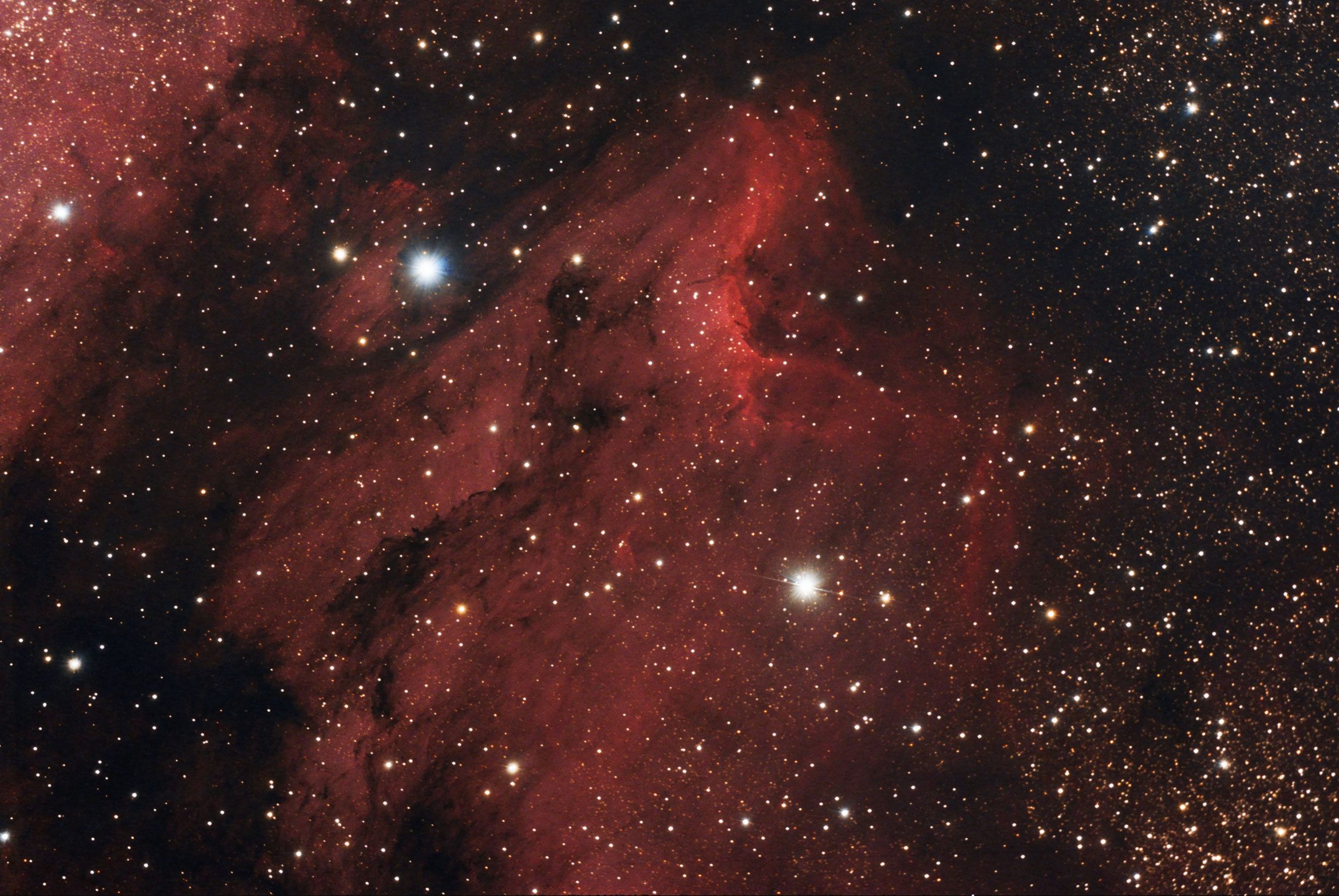 IC5070 and IC5067 Pelican Nebula