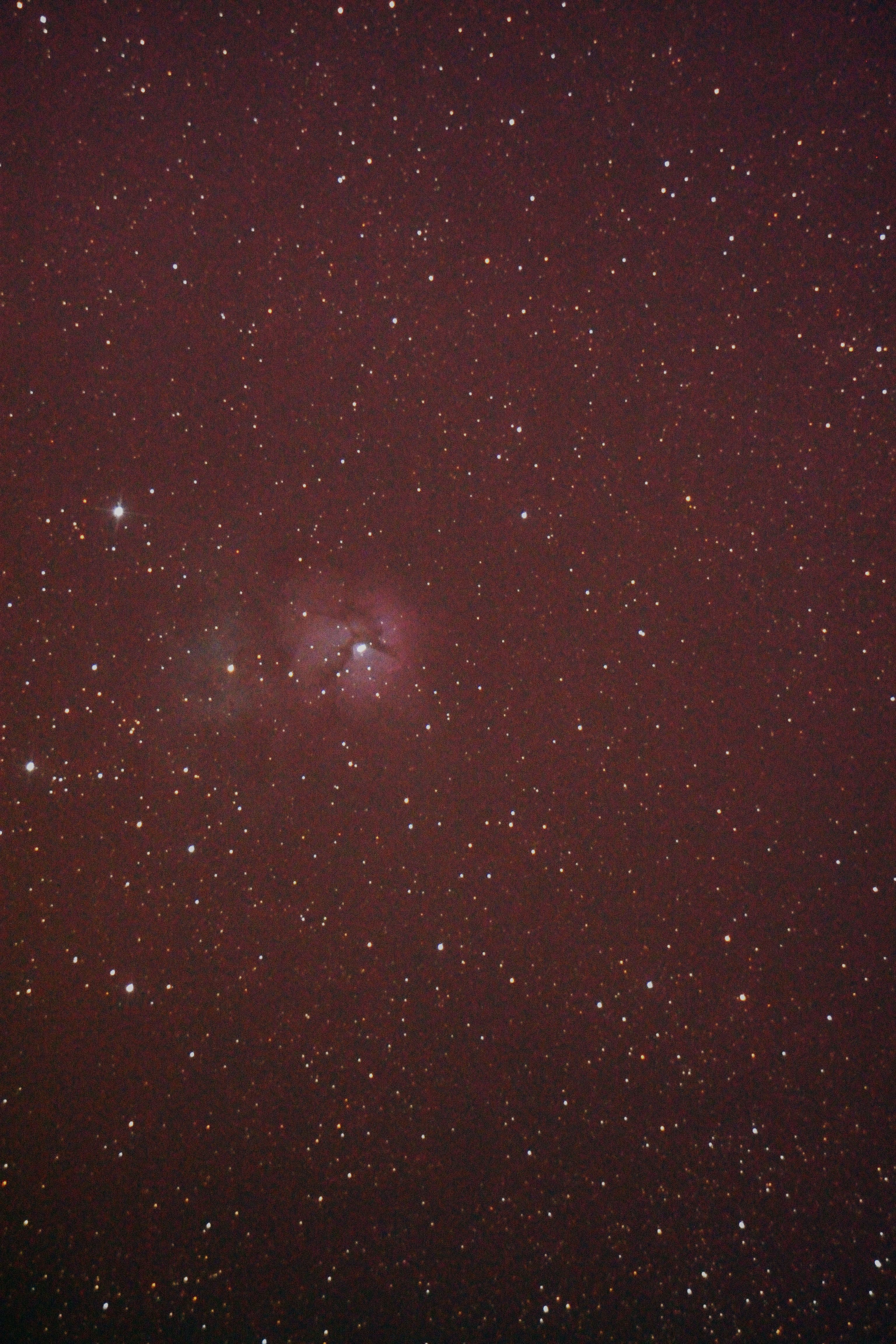 Trifid at Orion Store