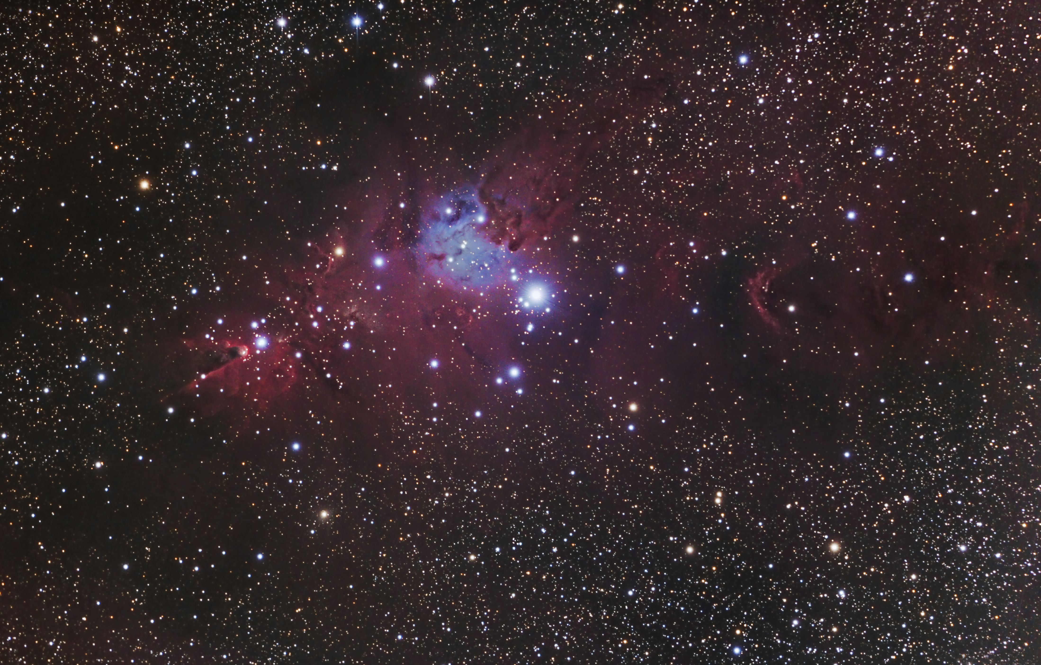 Christmas Tree Cluster or NGC 2264 at US Store