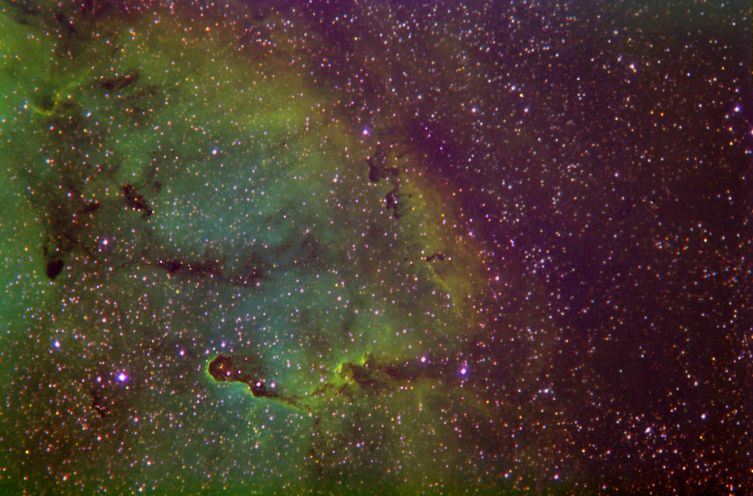 lC 1396 - Wide Field in Narrowband