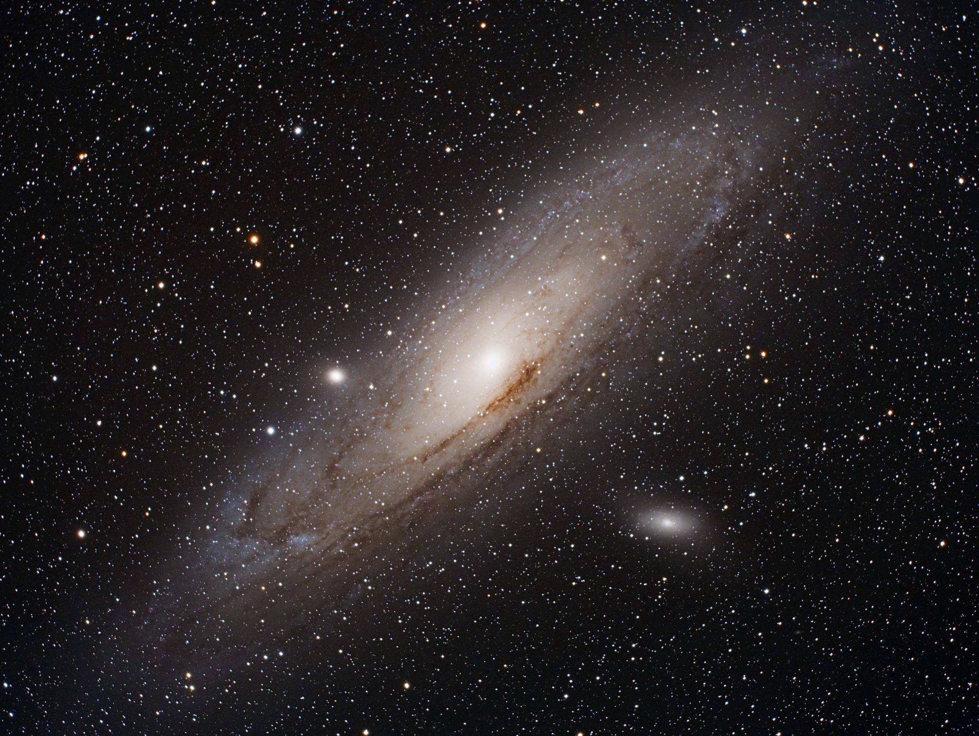 M31 - Andromeda Galaxy | Astronomy Pictures at Orion Telescopes Andromeda Through 8 Inch Telescope