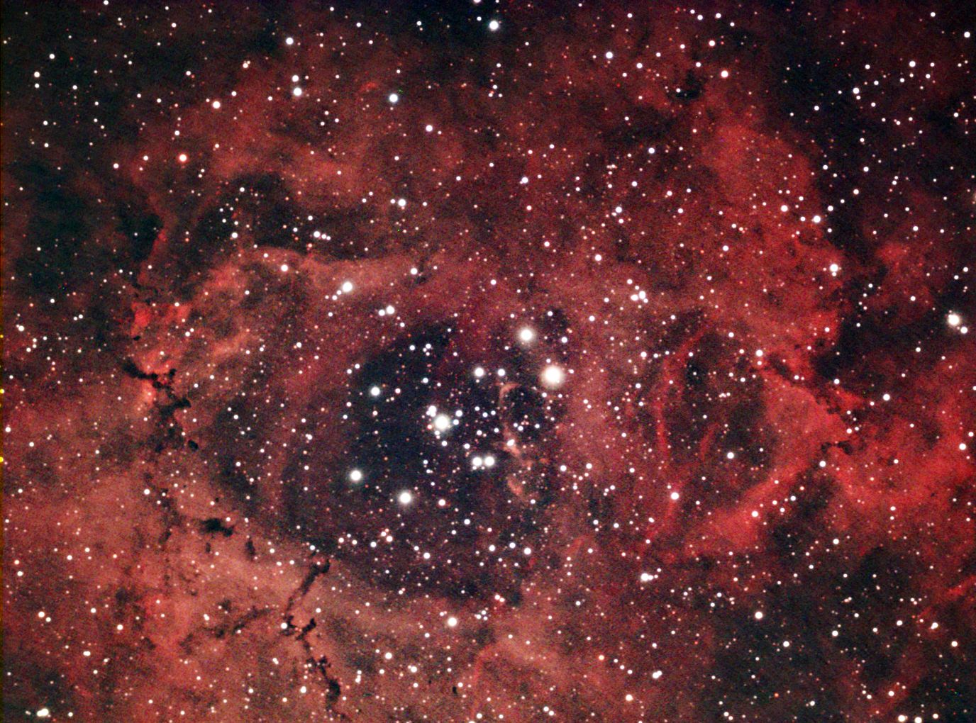 NGC 2237 - The Rosette Nebula