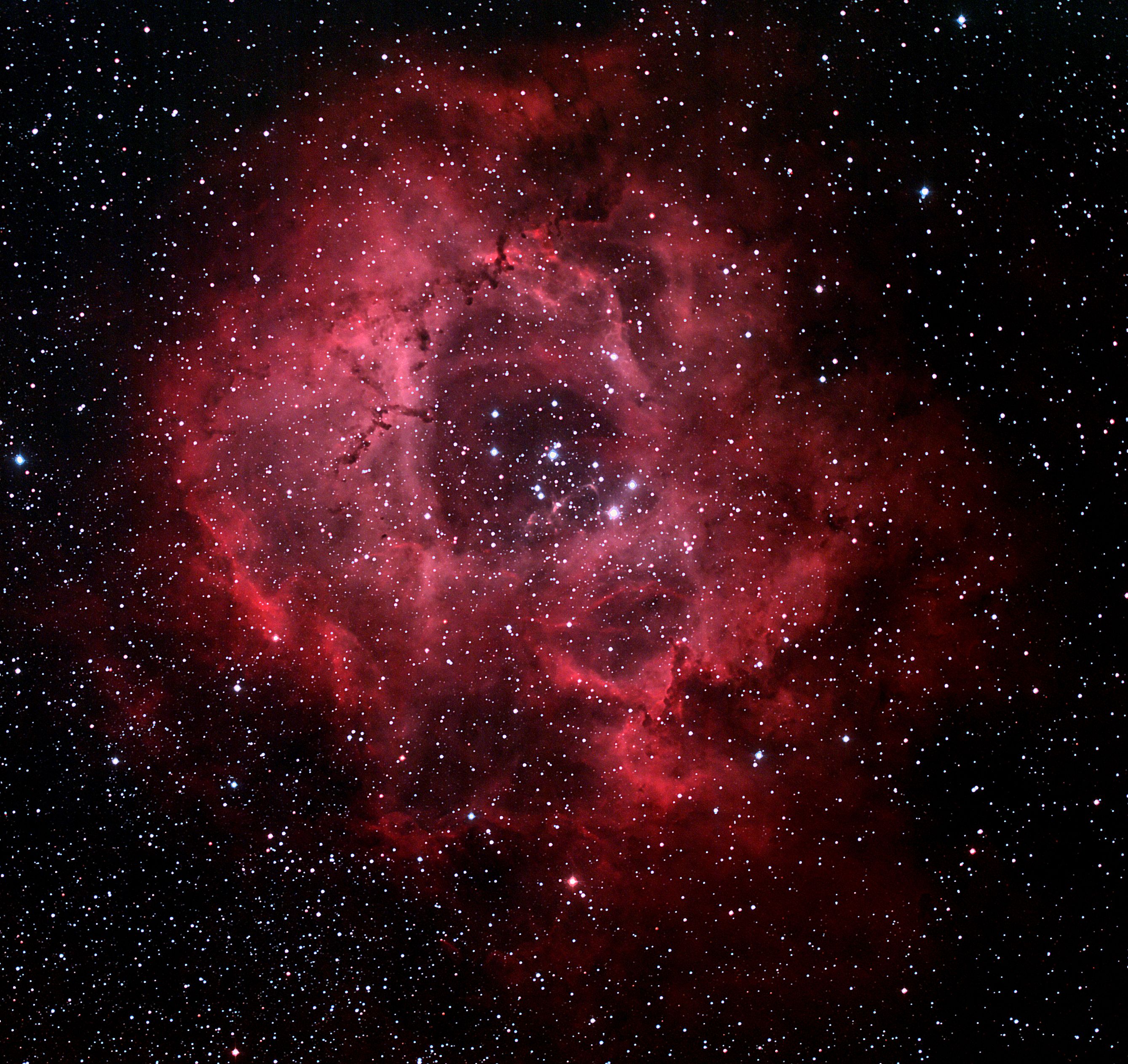 NGC-2244 - Caldwell 50