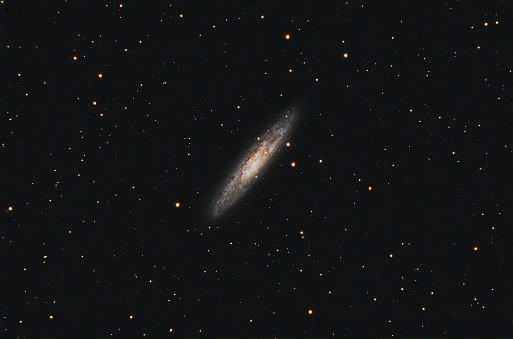 NGC 253 - The Sculptor Galaxy
