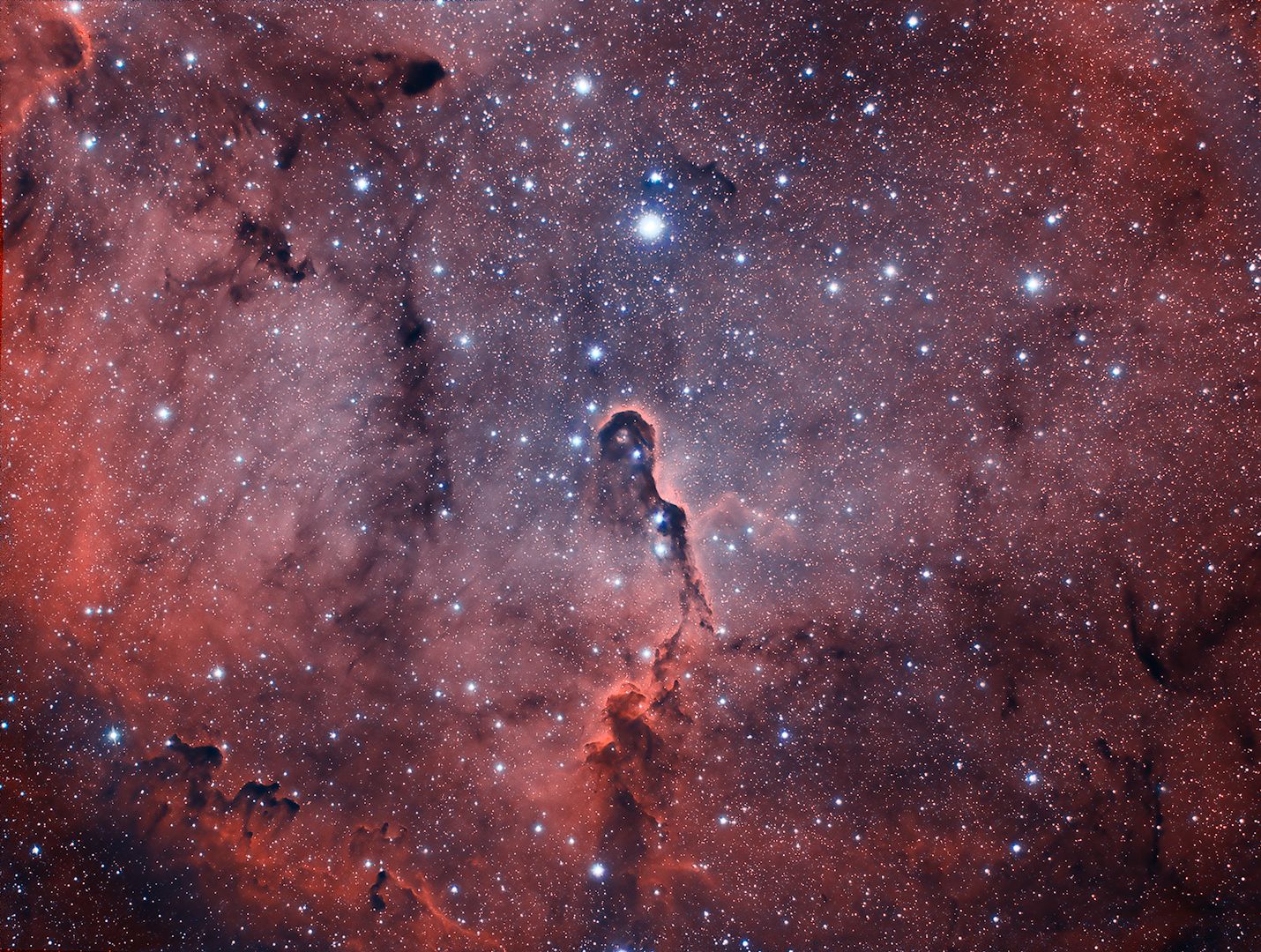 Elephant Trunk Nebula in IC1396