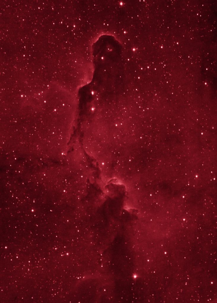 IC1396 The Elephant Trunk Nebula