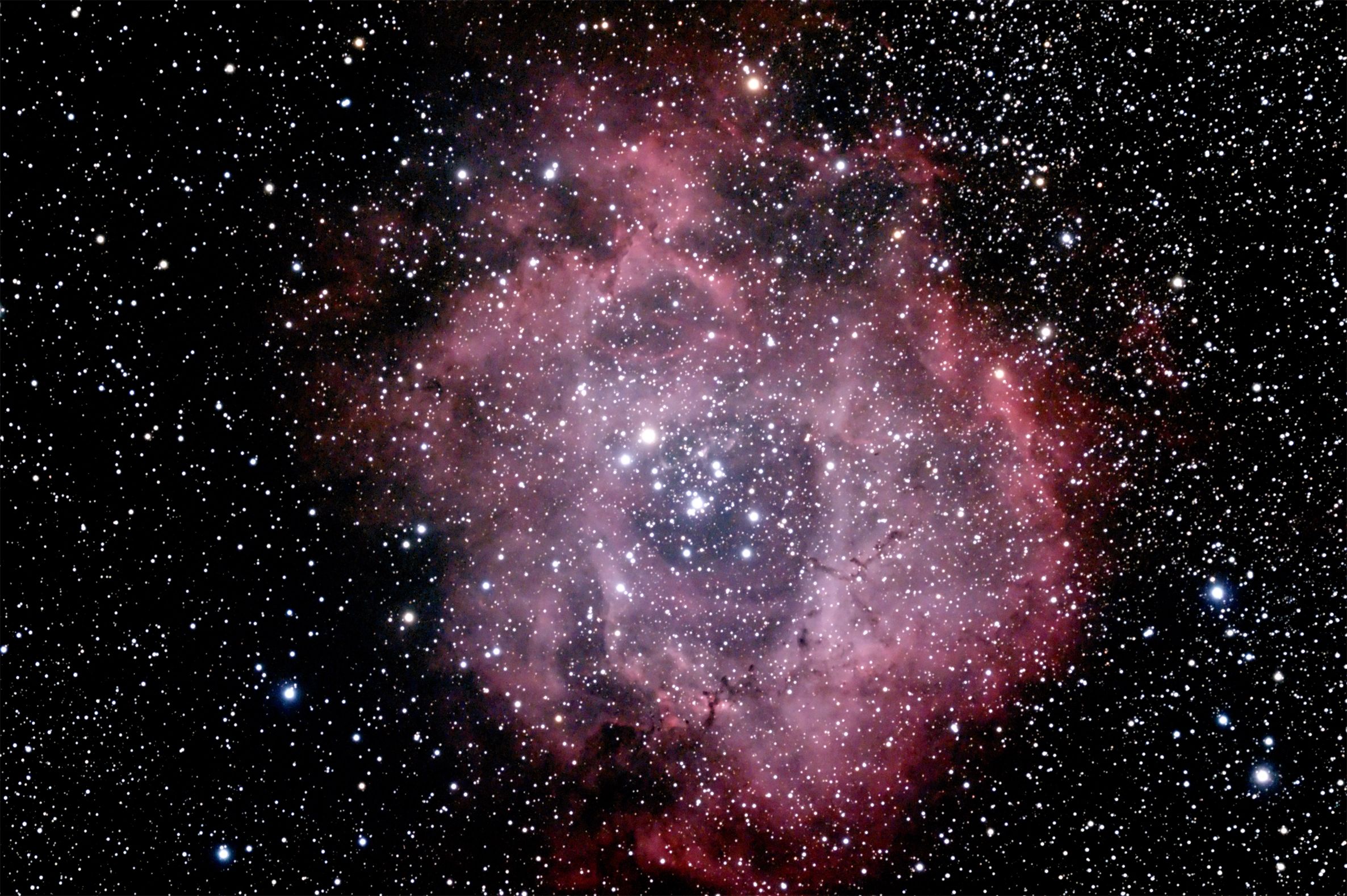 NGC 2237, 2238, 2239 and 2246 - The Rosette Nebula | Astronomy Orion