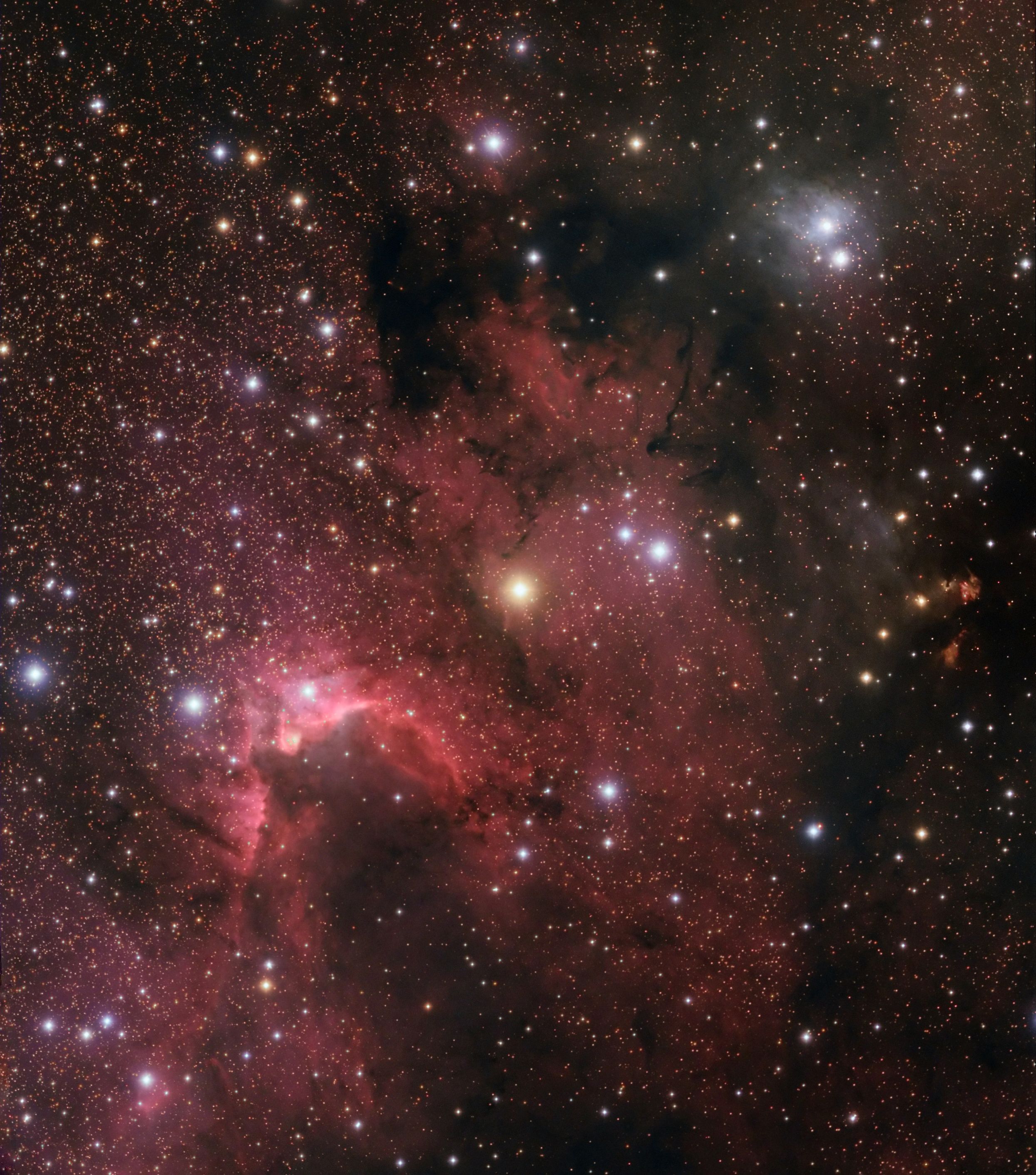 SH2-155 Region with the Cave Nebula