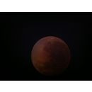 Bloody Moon at US Store