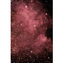 North America Nebula at US Store