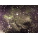 Pelican Nebula IC5070