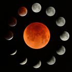 The Many Possibilities of a Total Lunar Eclipse