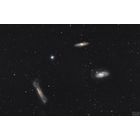 Leo Triplet at US Store