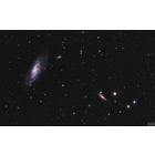 M106, NGC 4217, 4226, 4231, 4232