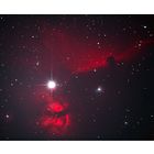 The Horsehead and Flame Nebulae in Orion's Belt at US Store