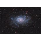M33 The Triangulum Galaxy (