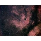 IC 1318 d - Emission Nebula