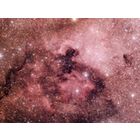 NGC7000 and IC 5070 - North America and Pelican Nebulas