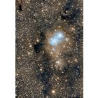 NGC 2264 - The Christmas Tree Cluster & Cone Nebula
