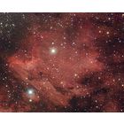 IC 5070 - The Pelican Nebula