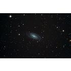 NGC2903 - Barred Spiral Galaxy