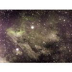 Pelican Nebula IC5070
