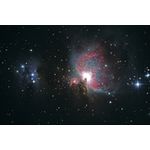 M42 and Runningman Nebula