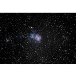M20 and M21 Trifid Nebula  Open Cluster