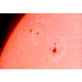 Sun Spot Complex