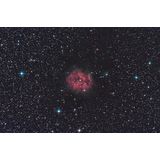 IC 5146 - The Cocoon Nebula