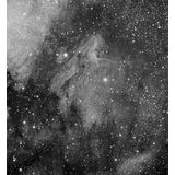 IC 5067 - Pelican Nebula